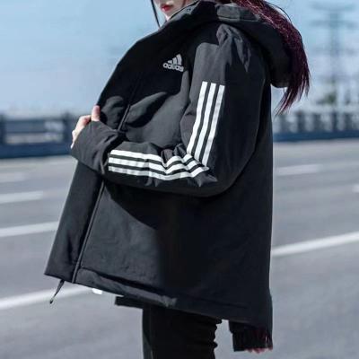 大牌衣服15